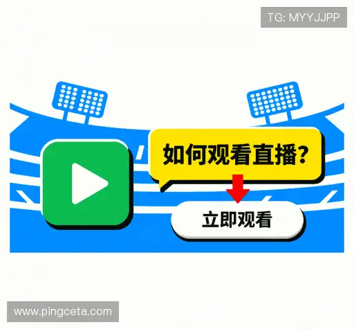解答指南